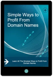 Simple Ways To Profit From Domain Names E-Book Cover