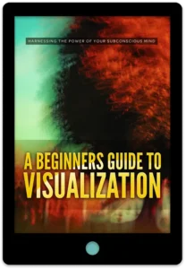 A Beginners Guide To Visualization E-Book Cover