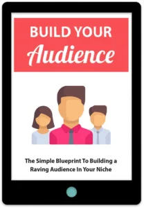 Build Your Audience E-Book Cover