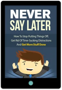 Never Say Later E-Book Cover