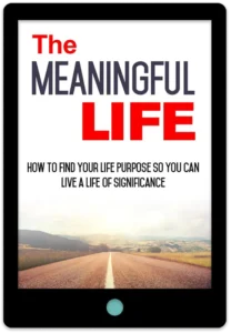 The Meaningful Life E-Book Cover